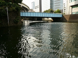 アユがみつかった小石川橋